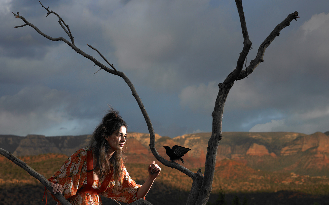 Photo credit: Crow Friend on Wix